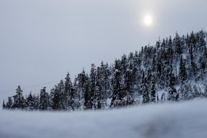 Кольский полуостров